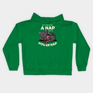 It’s Not Just a Nap, It’s A Power Nap Cute Lazy Dragon Gift Kids Hoodie